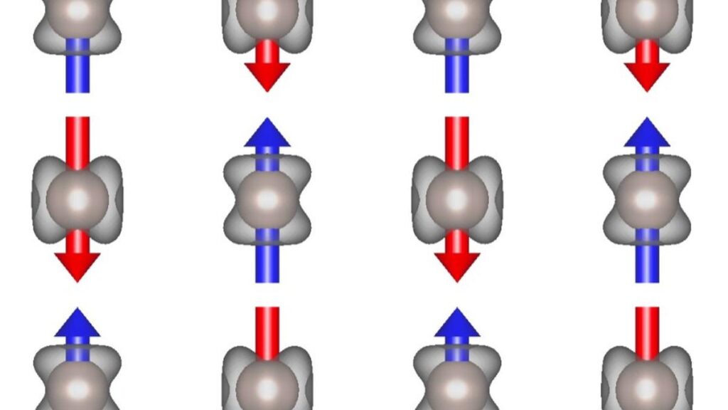 Altermagnet conducts with different charge carriers in different directions