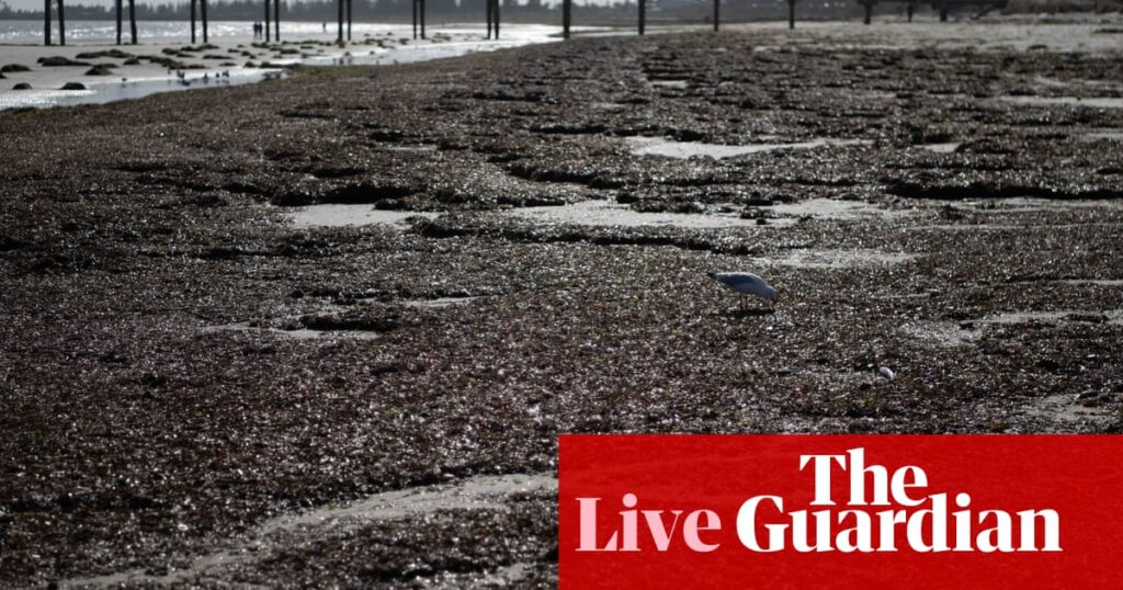 Australia news live: SA algal bloom a climate change ‘wake-up call’, Ken Henry says | Australia news