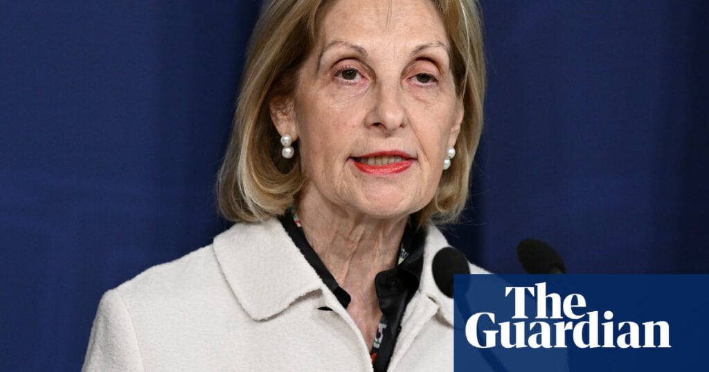 Australian envoy’s antisemitism plan criticised as ‘Trumpian’ over concerns changes could be used to silence dissent | Australian politics