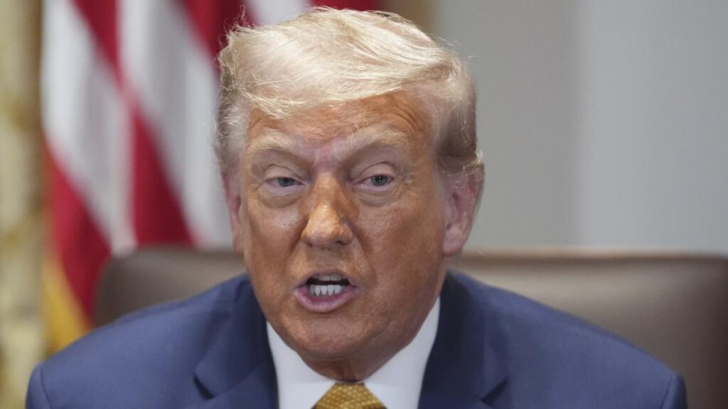 BRICS set up to ‘hurt us’, ‘degenerate’ U.S. dollar: Trump BRICS set up to 'hurt us', 'degenerate' U.S. dollar: Trump