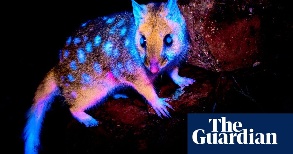 Beaker Street Science Photography prize – in pictures | Science