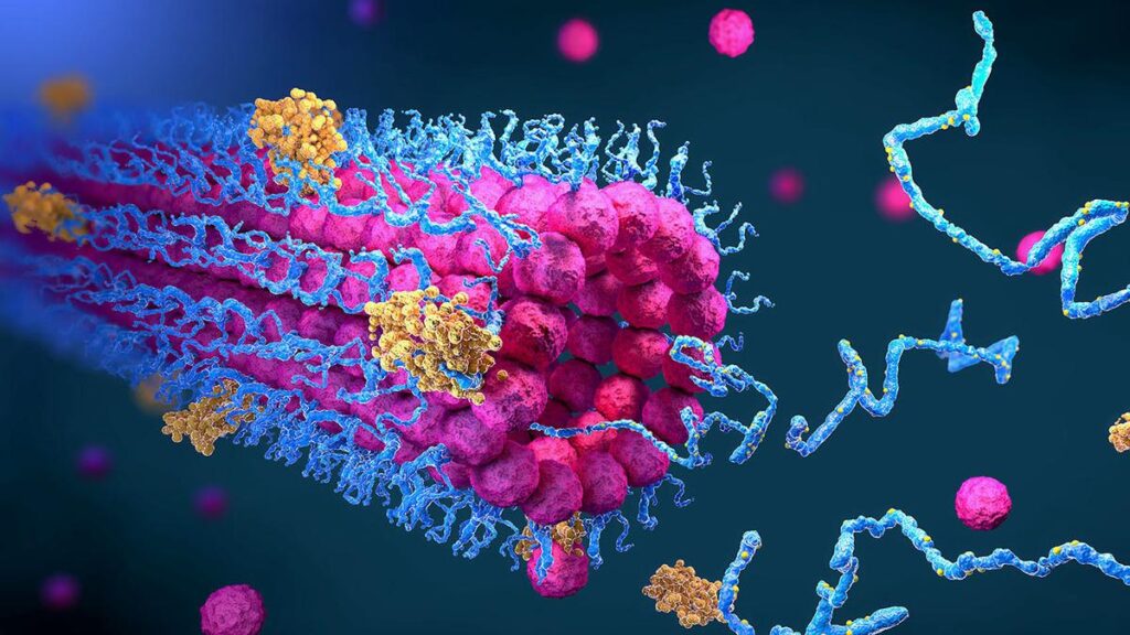 BioEmu AI reveals protein choreography in biological conditions