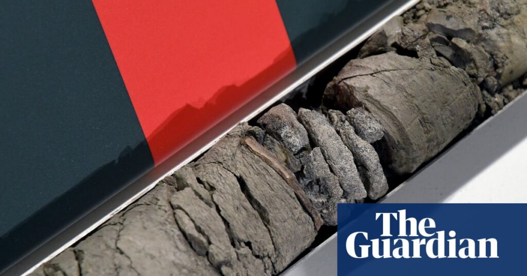 Denver museum known for dinosaur displays finds fossil under its parking lot | Denver