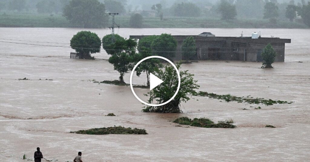 Heavy Monsoon Rains Kill Dozens in Pakistan