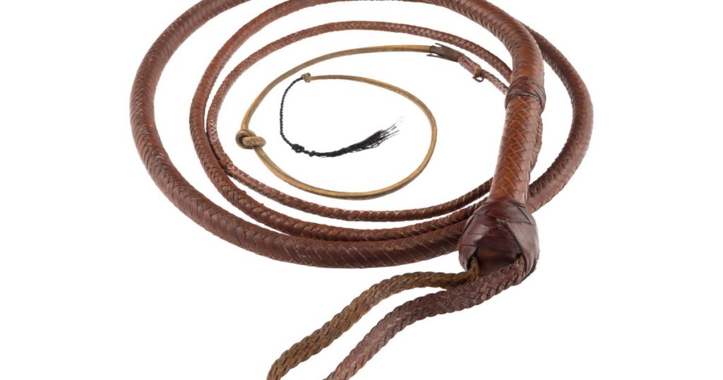 Hollywood auction of “Indiana Jones” whip draws $575,000 after “Citizen Kane” Rosebud sled gets near-record $14.75 million Hollywood auction of "Indiana Jones" whip draws $575,000 after "Citizen Kane" Rosebud sled gets near-record $14.75 million