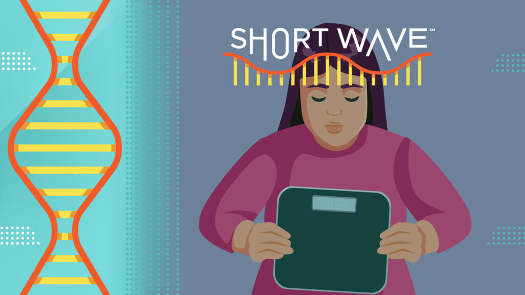 How eating disorders impact the body and brain : Short Wave : NPR