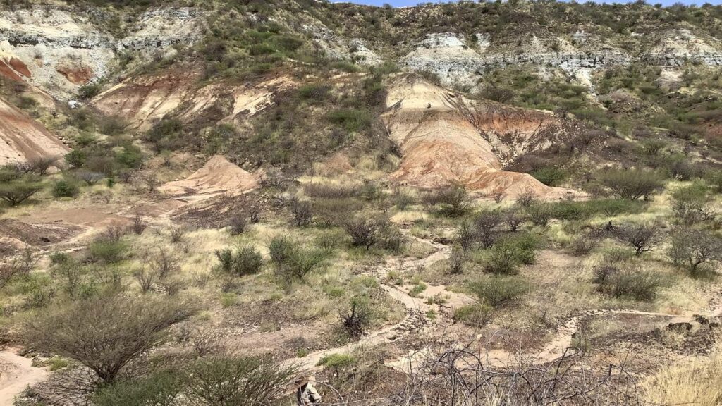 In a first, enamel proteins 18-20 million years old from tropical, High Arctic sites unravel palaeobiology of extinct taxa In a first, enamel proteins 18-20 million years old from tropical, High Arctic sites unravel palaeobiology of extinct taxa