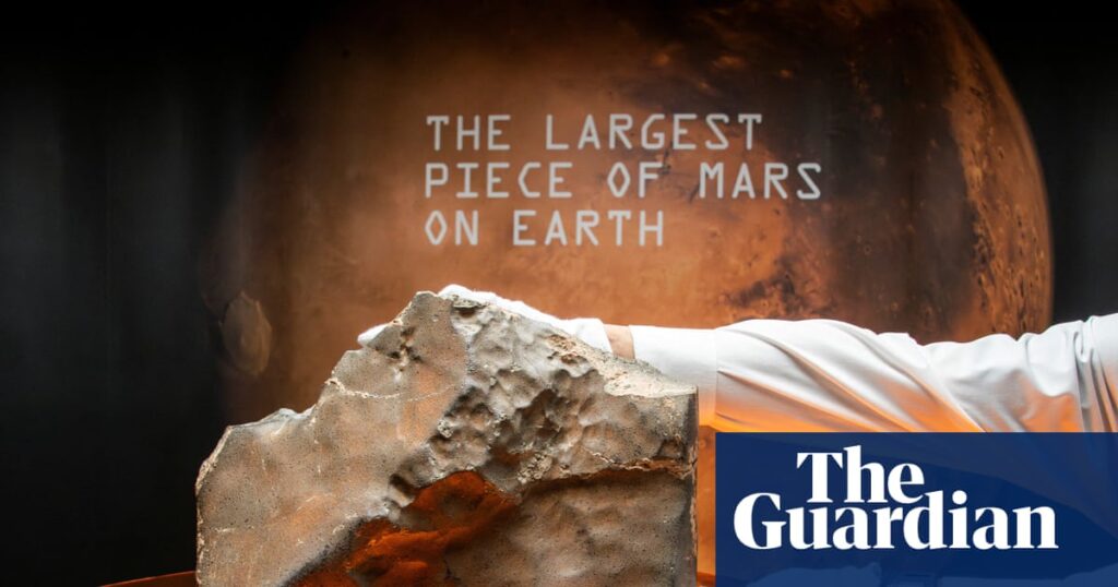 Largest piece of Mars on Earth sells for over $5m at New York auction | Mars