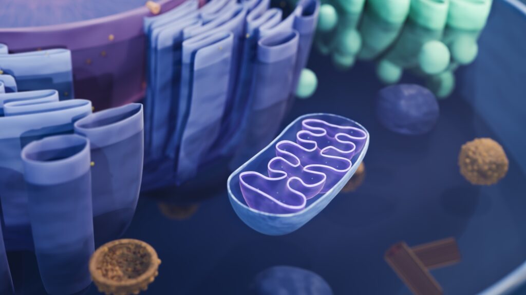 Mitochondrial disease prevented with donated genes : Shots