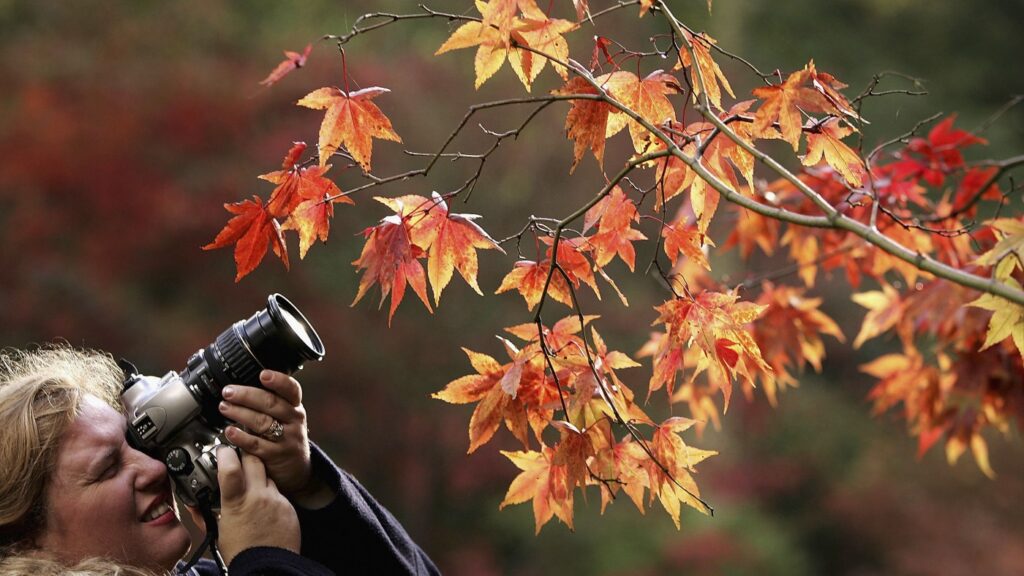 NPR wants to hear the story behind your favorite photo : NPR