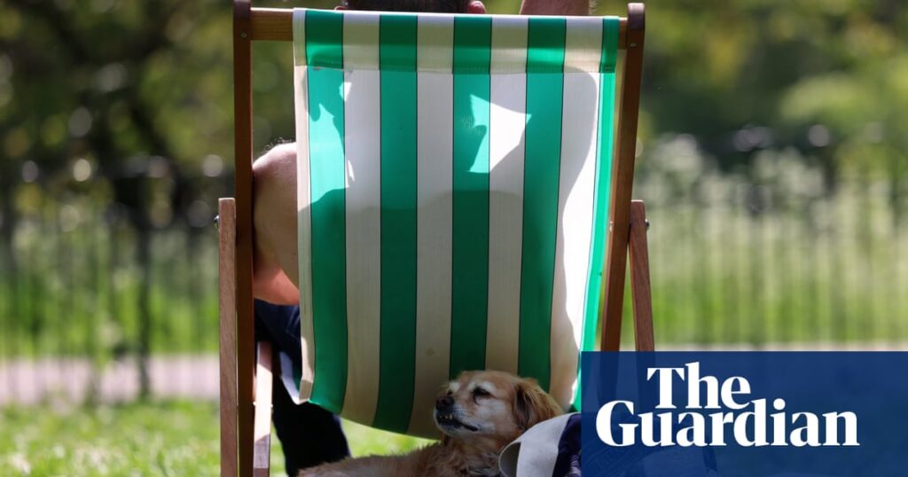 Panting, gular fluttering and sploots: how Britain’s animals try to keep cool | Animal behaviour