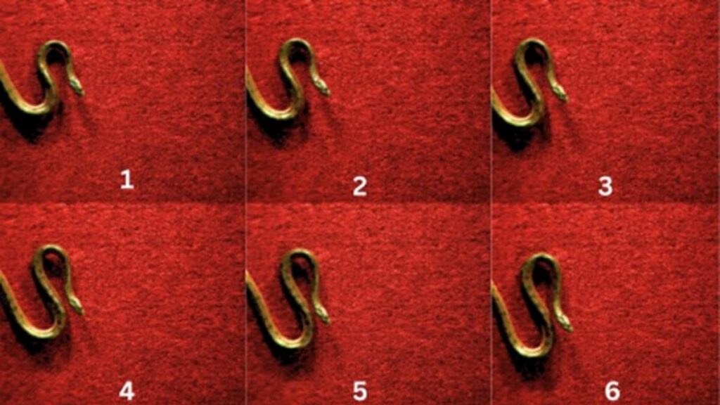 Scientists document new snake locomotion in yellow anacondas