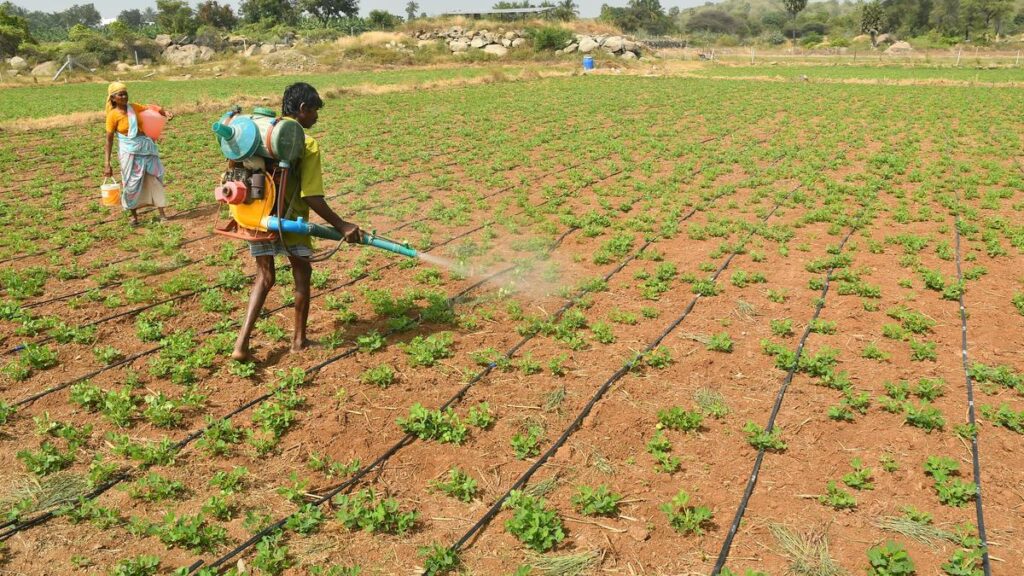 Smart Irrigation Plan can save 10-30% of irrigation water in drought-prone regions: IIT Bombay research