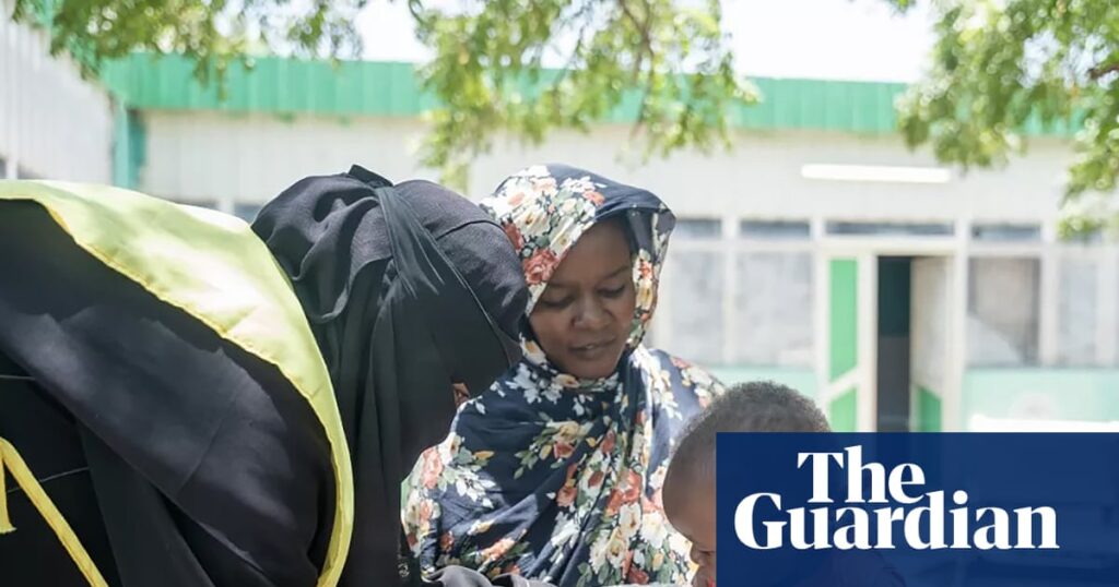 Sudan’s children face growing threat of deadly infectious diseases as vaccination rates halve | Global development