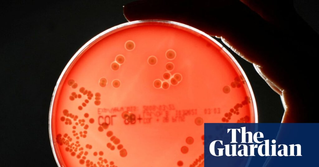 Superbugs could kill millions more and cost $2tn a year by 2050, models show | Antibiotics
