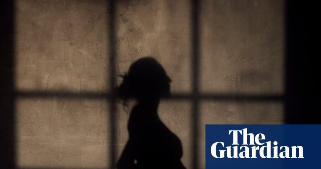 Surrogates at greater risk of new mental illness than women carrying own babies, study finds | Surrogacy