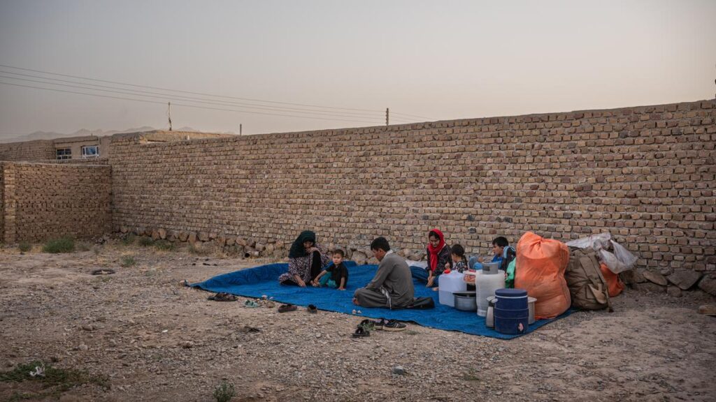 Taliban criticise neighbouring countries for their mass expulsion of Afghans