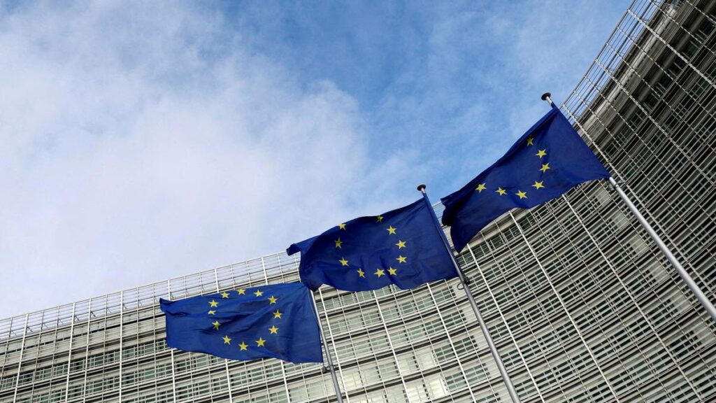 Temu accused by EU regulators of failing to prevent sale of illegal products