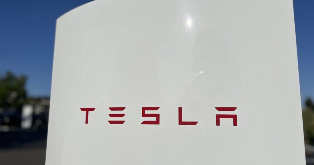 Tesla profit slumped in second quarter, a sign Musk is hurting the brand