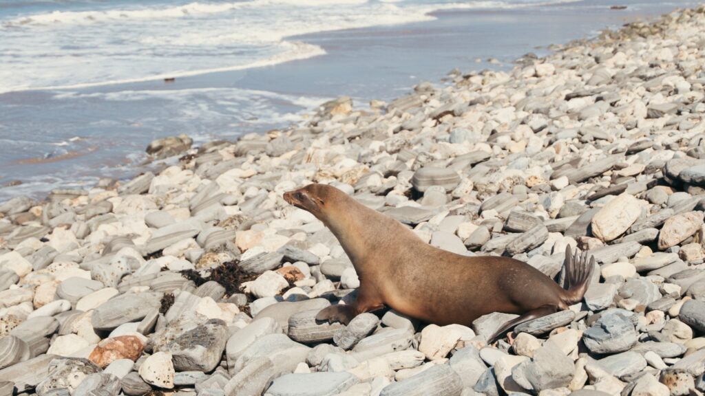 The Picture Show : NPR