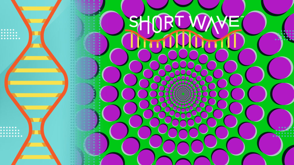 "The Static Spin" Wins Best Illusion of the Year : Short Wave : NPR