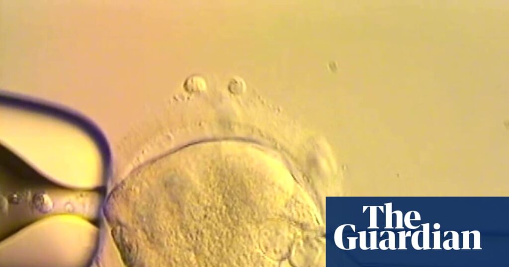 The babies born with DNA from three parents – podcast | IVF
