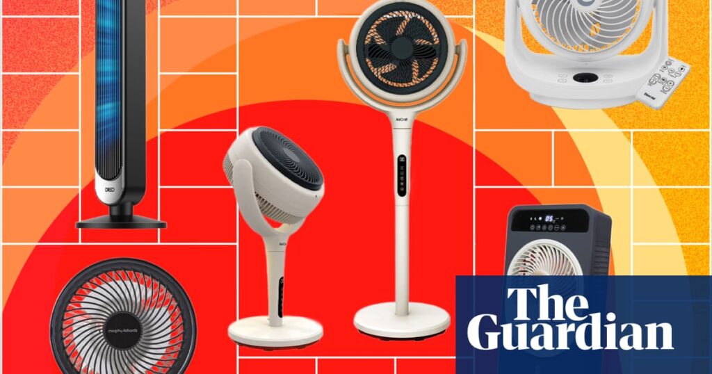 The best fans to keep you cool: 14 tried and tested favourites to beat the heat | Summer The best fans to keep you cool: 14 tried and tested favourites to beat the heat | Summer