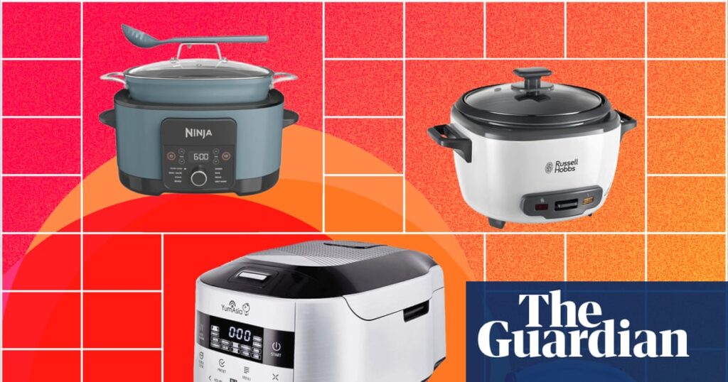 The best rice cookers in the UK for gloriously fluffy grains at home: nine tried and tested favourites | Rice