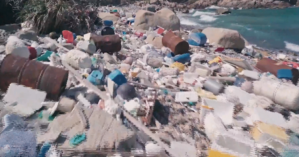 The impact of nanoplastics on long-term health