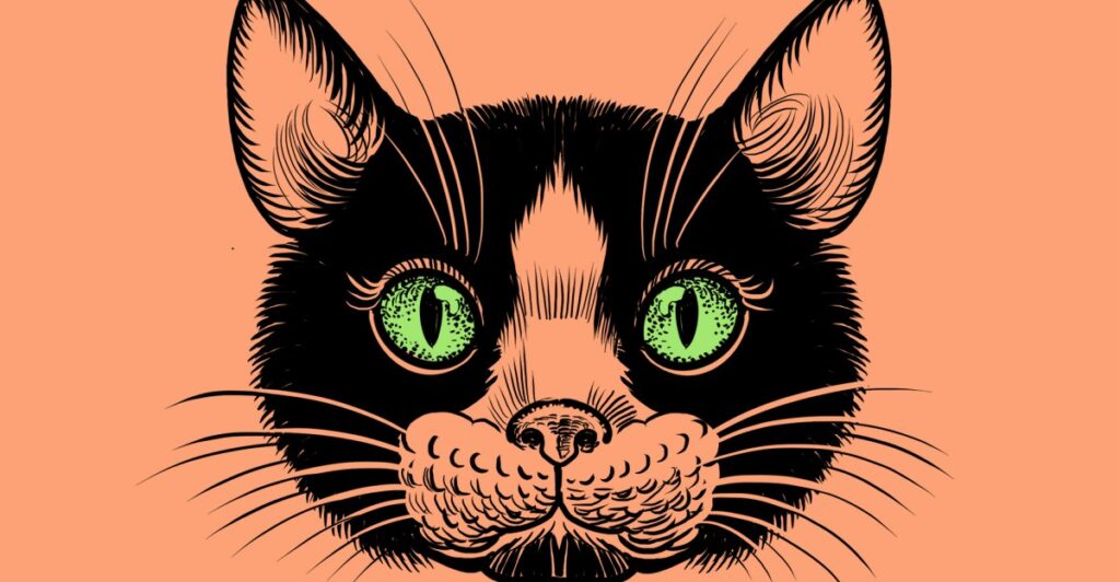 The panic over the Gen Z stare, explained