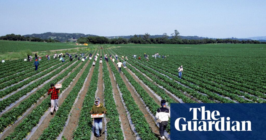 White House rescinds $20m for clean water in pesticide-contaminated rural California | California