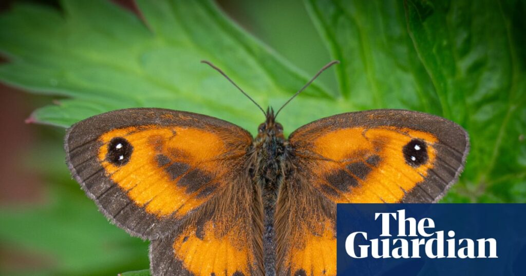 Air pollution filters help scientists produce first UK wildlife survey using eDNA | Environment