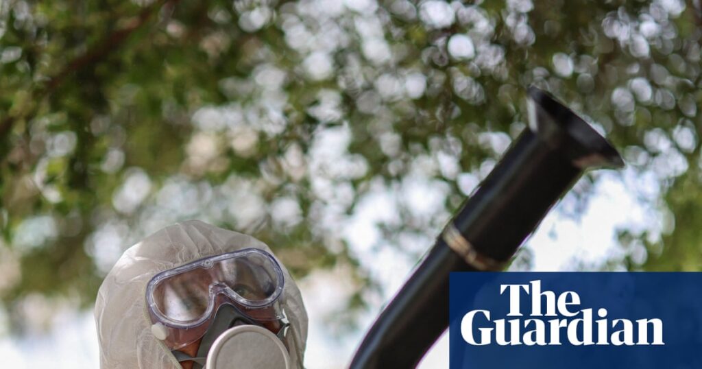 Alarm in China that efforts to control Chikungunya virus are infringing on rights | China Alarm in China that efforts to control Chikungunya virus are infringing on rights | China