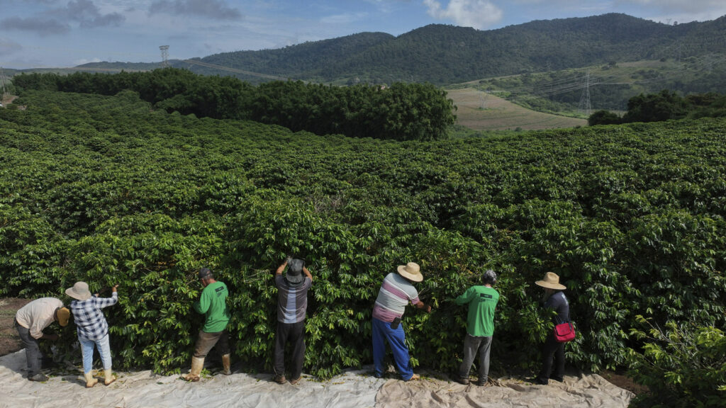 Brazil Braces for Trump's Tariffs. Brits Say Goodbye to Ozzy