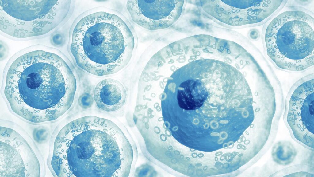 CCMB’s seminal work on programmed cell revival offers hope for regenerative medicine