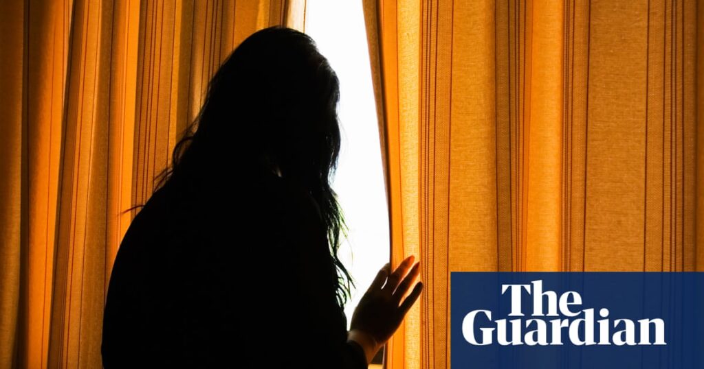 China’s cyber-abuse scandal: is the government unwilling to crack down on exploitation of women online? | Global development