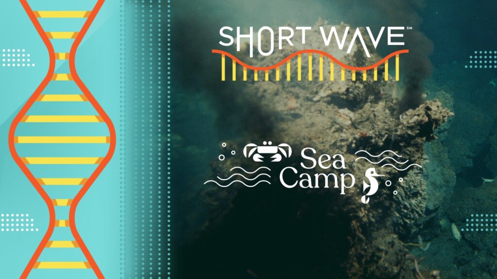 Did life start on the ocean floor — and what does that mean for alien life? : Short Wave : NPR