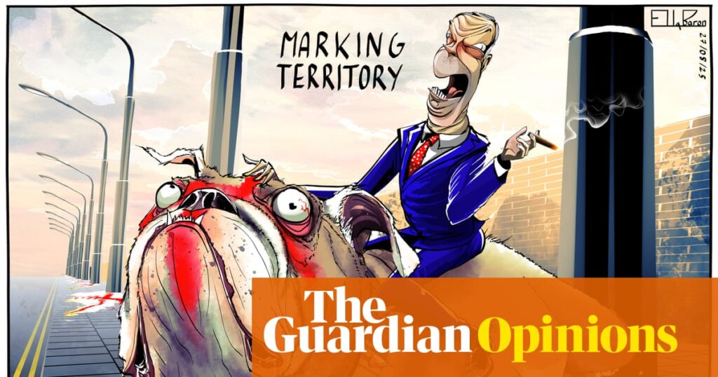 Ella Baron on the flag and Farage – cartoon