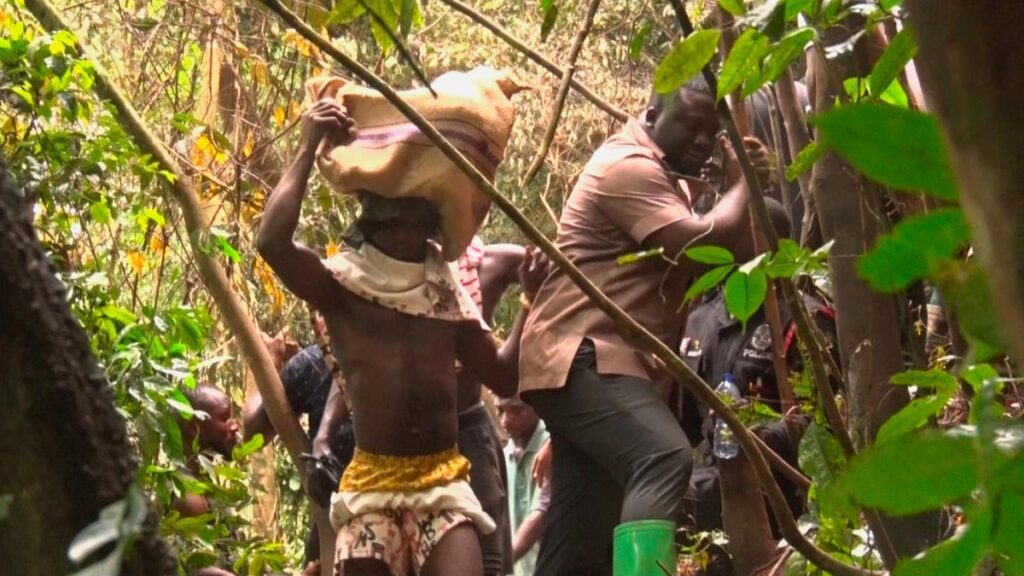 Helicopter crash in Ghana kills 8 people including Defence, Environment Ministers