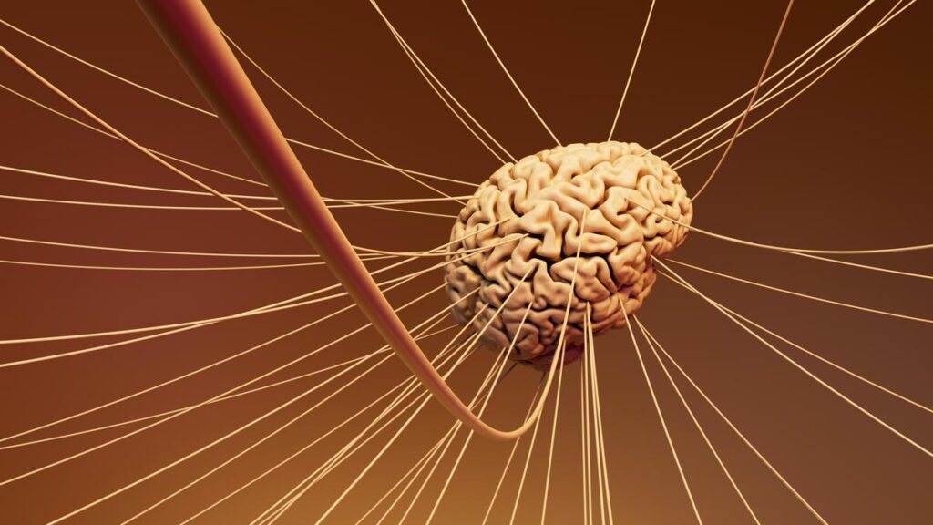 Major study opens window to the brain when an emotion first appears