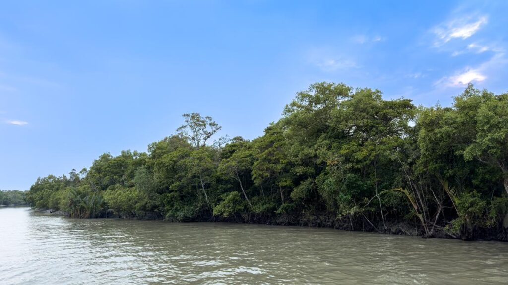 Microbes that digest plastic may also fuel antibiotic resistance