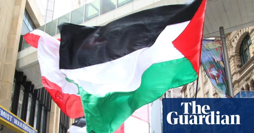 NSW supreme court rules in favour of pro-Palestine march across Sydney Harbour Bridge | New South Wales
