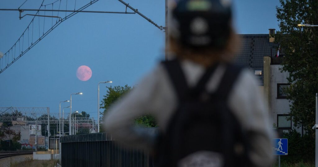 Perseids meteor shower will peak next week. But will the moon ruin it for viewers?