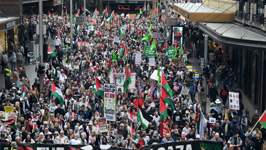 Pro-Palestine protesters rally in cities across Australia | Protests