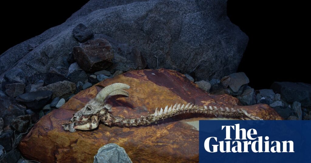 Psychedelic rock! Formations that mess with your mind – in pictures | Art and design