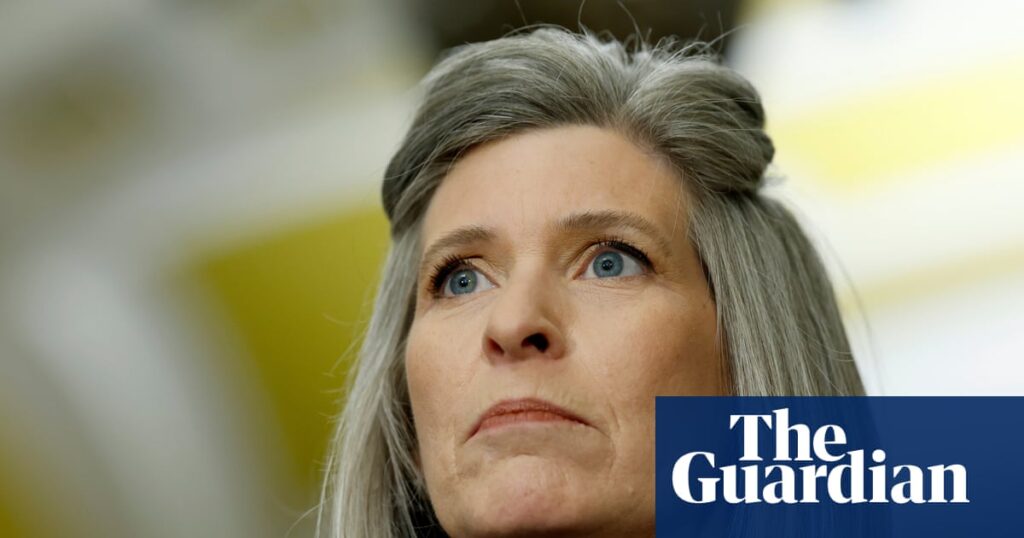 Republican senator Joni Ernst of Iowa will not run for re-election | US news
