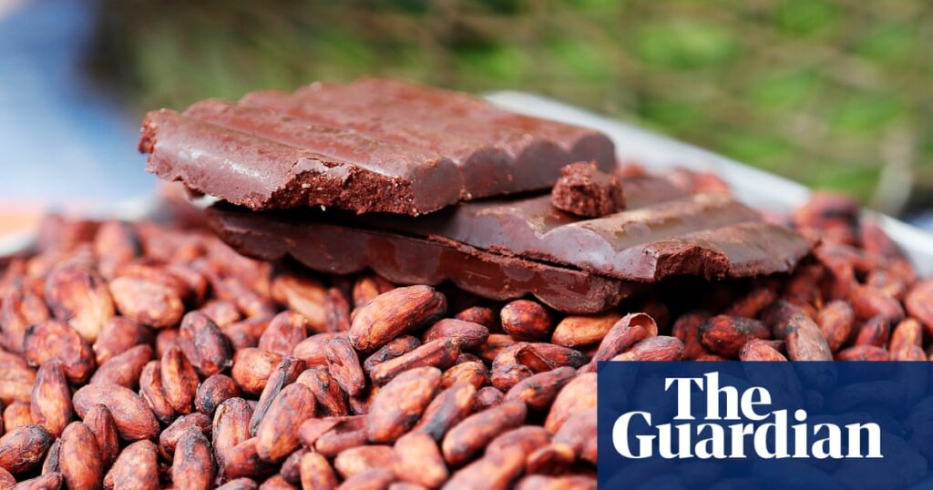 Scientists claim to have unlocked ‘secret sauce’ needed for fine chocolate | Food science