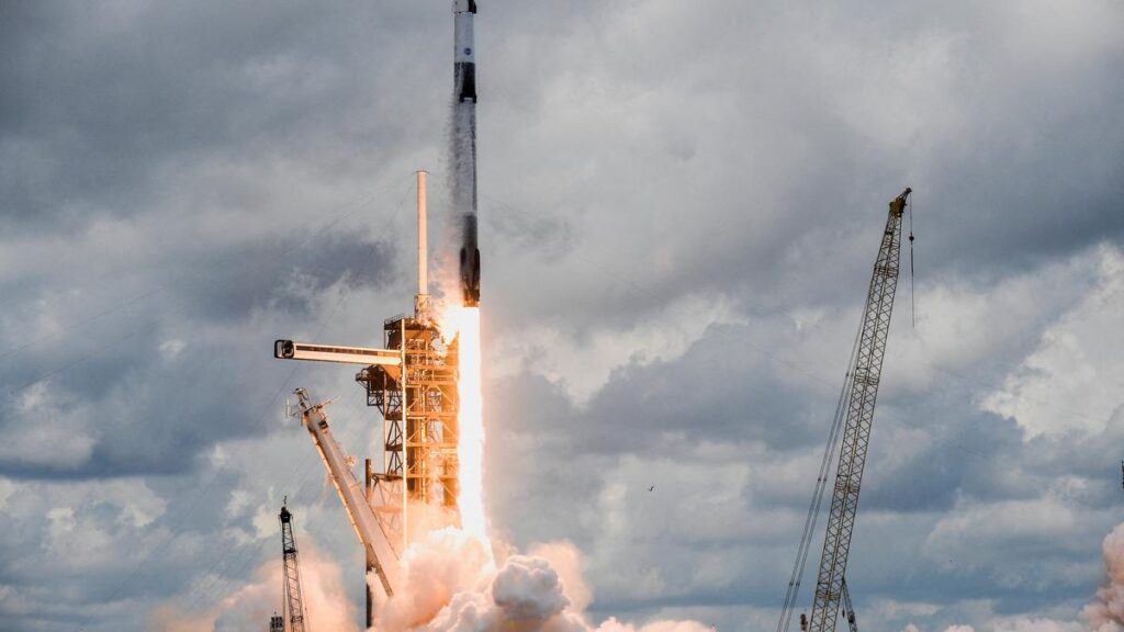Seeds of seabuckthorn, Himalayan buckwheat part of experiment on ISS