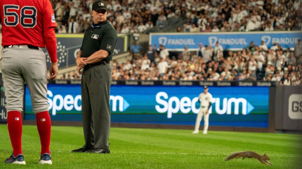 Squirrel runs onto field, briefly delaying Red Sox-Yankees