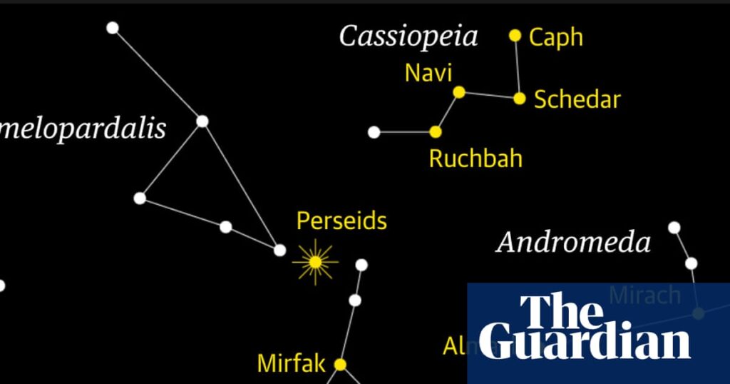 Starwatch: Look out for the Perseids, the best meteor shower of the year | Space